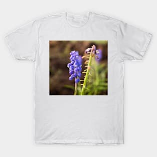 10116 bluebell T-Shirt